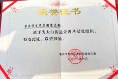 百年集團(tuán)黨支部回報(bào)社會(huì)，努力踐行社會(huì)責(zé)任與