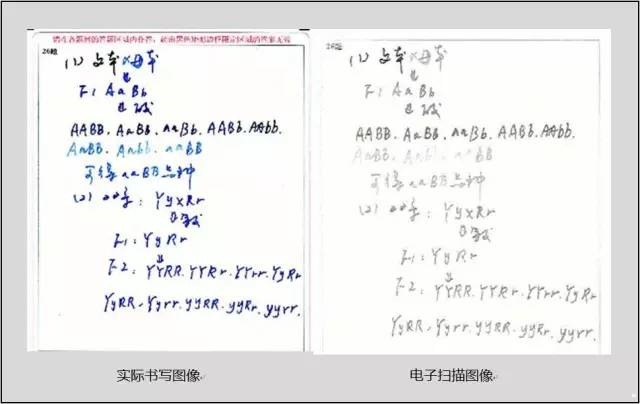 中高考電腦閱卷流程這樣的！讀完可多拿20分（轉給考生，這對他們有用）