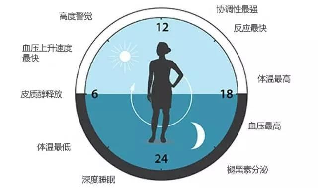 請轉(zhuǎn)給晚睡的學(xué)生：熬夜學(xué)習(xí)精神可嘉，但方法不可??！